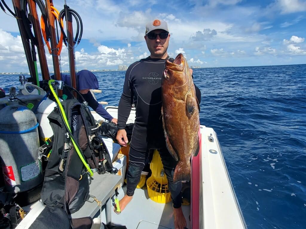 Beginner Guide To Spearfishing